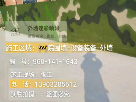 广东 迷彩漆喷涂价格（按平方米计费）