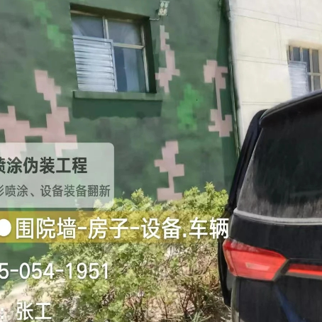 广东数码迷彩漆施工